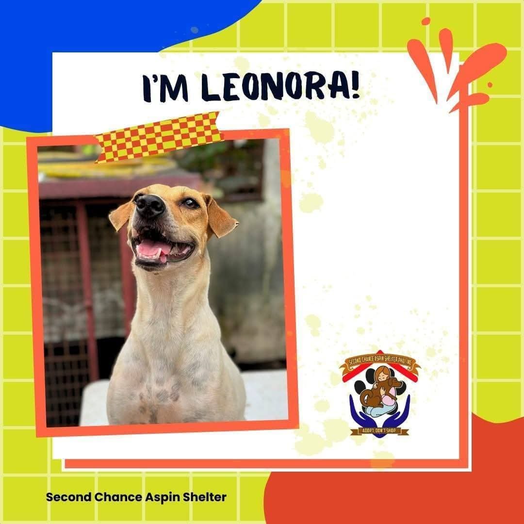Leonora