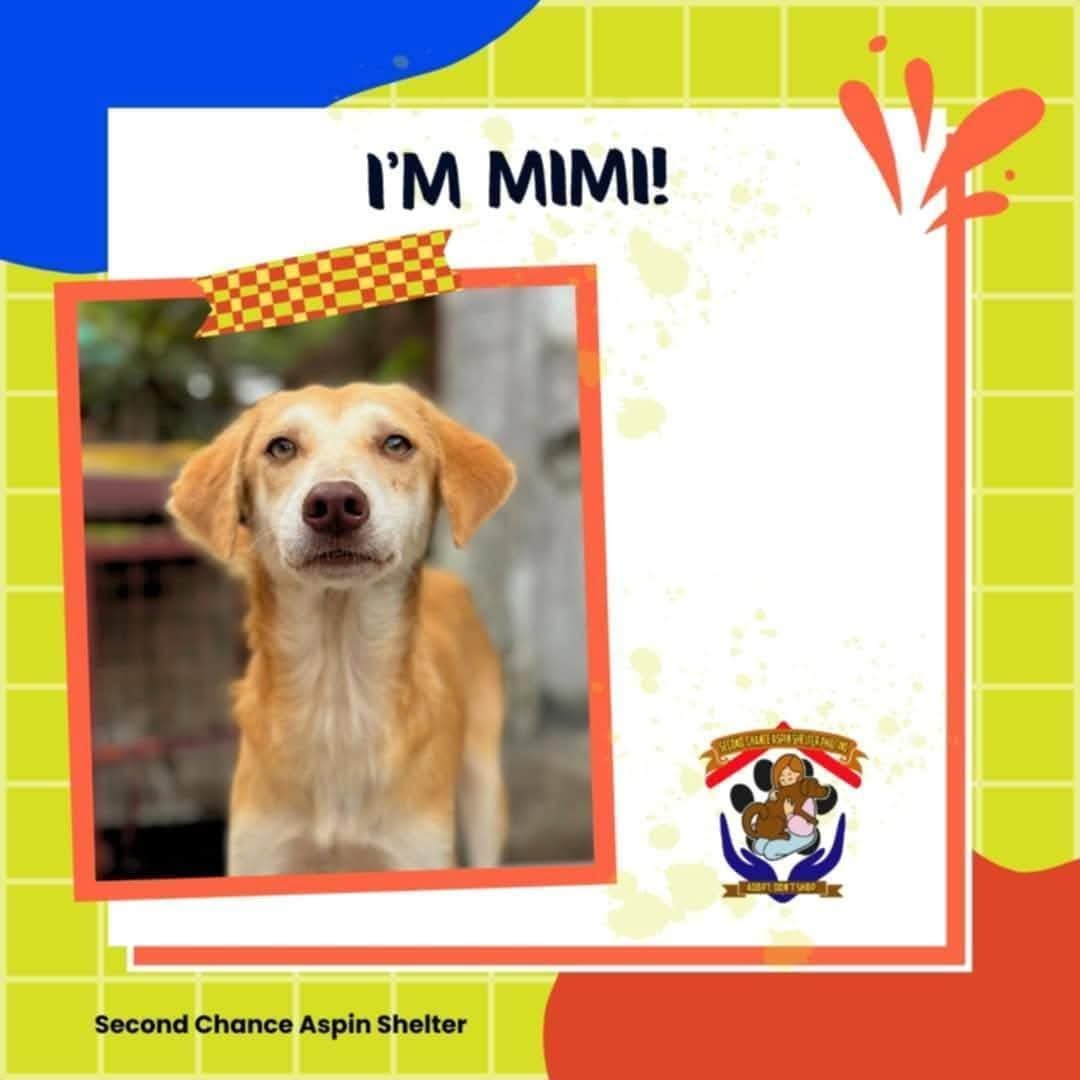 Mimi