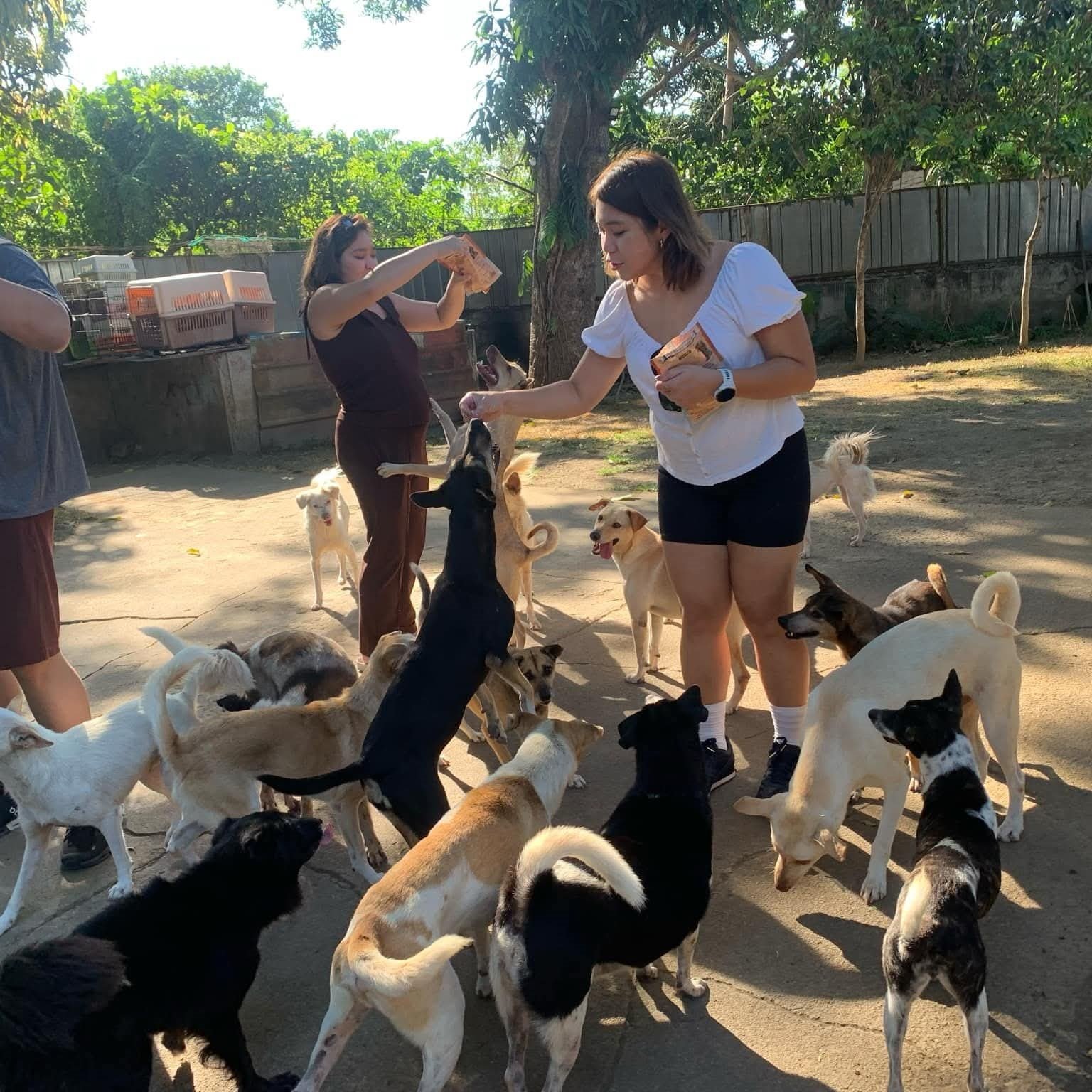 feeding