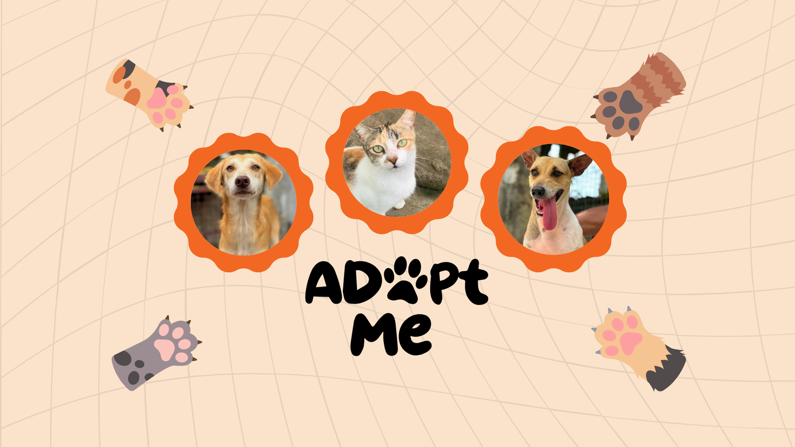 Featured Pet