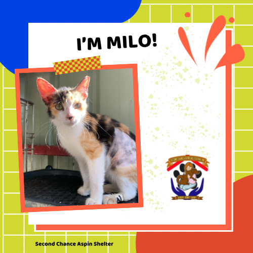 Milo